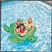 Intex Sea Turtle Ride On