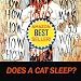 Search : How Many Ways Does a Cat Sleep? Art & Sensitivity Series for Children Volume 1