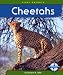 Books : Cheetahs (First Reports)