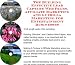 The Guerilla Marketing, Building Effective Lead Capture Web Pages, Affiliate Marketing for Home Entertainment Systems Businesses