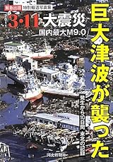 巨大津波が襲った3・11大震災―発生から10日間の記録 緊急出版特別報道写真集
