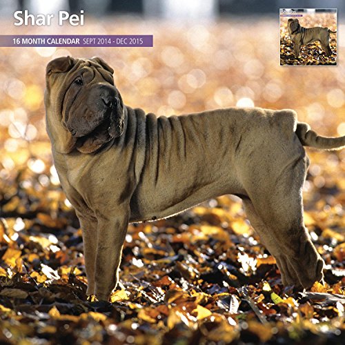Shar Pei 2015 Wall Calendar