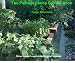 The Postage Stamp Garden Book