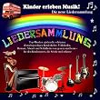 Kinder erleben Musik! Die neue Liedersammlung: Top-Musiker spielen die sch�nsten deutschsprachigen Kinderlieder, Volkslieder, Heimatlieder, Abendlieder und Schlaflieder von gestern und heute - f�r den Kindergarten, die Schule und zuhause.