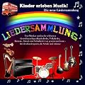 Kinder erleben Musik! Die neue Liedersammlung: Top-Musiker spielen die sch�nsten deutschsprachigen Kinderlieder, Volkslieder, Heimatlieder, Abendlieder und Schlaflieder von gestern und heute - f�r den Kindergarten, die Schule und zuhause.