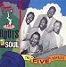 Root Soul-The Roots of Soul
