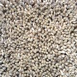 Anji Mountain Bamboo Rug Company Wool Area Rug
