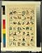 Poster Print of Japanese Artwork dating from 1688-1915Japanese print showing illustra...