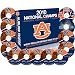 Auburn:2010 The Perfect Season