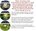 acid_reflux22acid reflux - The Fantastic How To Earn Extra Money Marketing