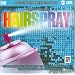 Sing The Broadway Musical Hairspray (2-Disc Karaoke CDG)