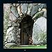 Mushroom Houses of Charlevoix by Mike Barton (2009) Hardcover