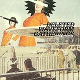 Deleted Waveform Gatherings -  Baby Warfare