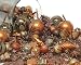 125-Piece Club Pack of Shatterproof Chocolate/Mocha/Copper Christmas Ornaments