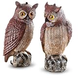 2 Owl Garden Decoys