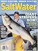 Salt Water Sportsman