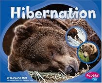 Hibernation