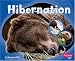 Hibernation (Patterns in Nature series) (Patterns in Nature)