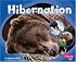 Hibernation (Patterns in Nature series) (Patterns in Nature)