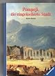 Pompeji, die einge�scherte Stadt