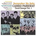 Vol. 1-Remember Me Baby-Cameo Parkway Vocal Groups