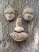 WoodChuck Tree Face