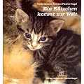 Ein K�tzchen kommt zur Welt
