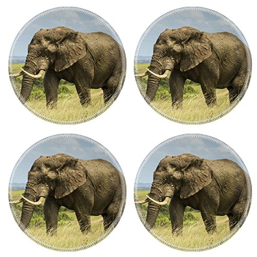 Coasters Elephant Kariega Game Reserve Image 37210391 by MSD Round Coaster 4 Piece Set Cup Mat Mug Can Water Bottle Drink Customized Stain Resistance Collector Kit Kitchen Table Top Desk