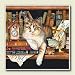 Kitchen & Housewares : AbsorbaStone Coaster set ~ Literary Cat ~4 Tile Drink Coasters ~ code 250