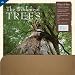 Wisdom Of Trees Plant-A-Tree 2010 Wall Calendar