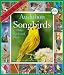 Audubon Songbirds & Other Backyard Birds 2013 Calendar