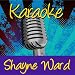 No Promises (In The Style Of Shayne Ward)