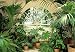 Wintergarden 231 Wall Mural