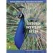 Music Minus One Soprano: Famous Soprano Arias (Book & CD)