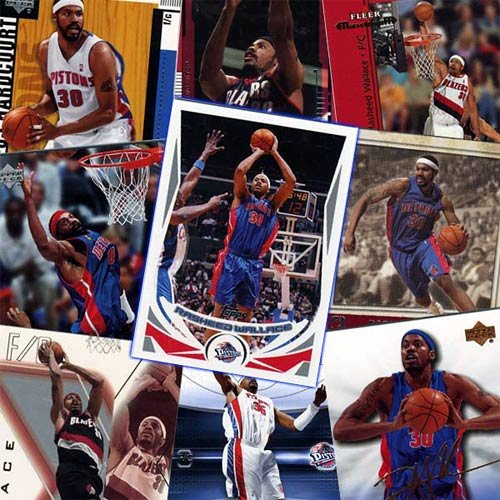 Detroit Pistons Rasheed Wallace 20 Card Player Set