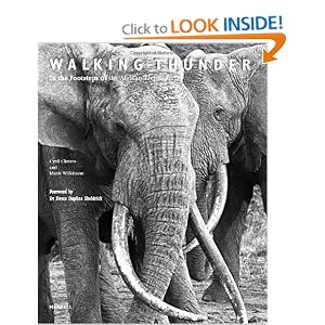 Walking Thunder: In the Footsteps of the African Elephant
