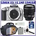 Canon EOS Rebel XSi (a.k.a. 450D) SLR Digital Camera Kit (Silver) w/ Canon EF-S 17-85mm f/4-5.6 IS USM SLR Lens + 8GB + Digital SLR Gadget Bag