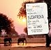 Nelson Eine Reise durch...S�dafrika: Geschichten von Stra�enbaronen, dem Blue Train und Nelson Mandela