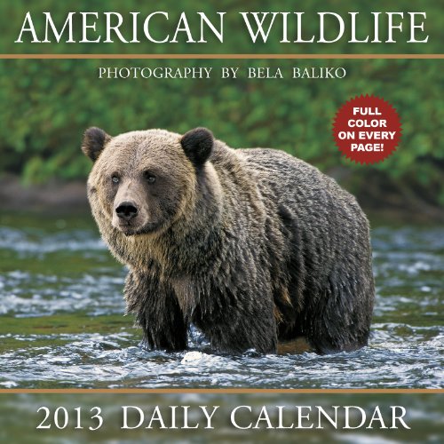 2013 American Wildlife Box