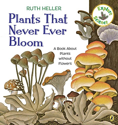 Plants That Never Ever Bloom (Explore!)