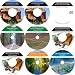 The Extreme Nine CD No Money Down, Millionaire Making Real Estate Course