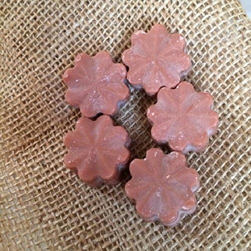 Christmas Library Soy Wax Melts/Tarts, Book Scent