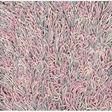 Super Shag Cotton Candy Shag Rug Size: Square 10'