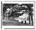 Historic Print (L): [H. Jackson's cottage, Stissings Lake, Pine Plains, N.Y., with three women posed, one of