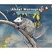 About Marsupials: A Guide for Children (About...)