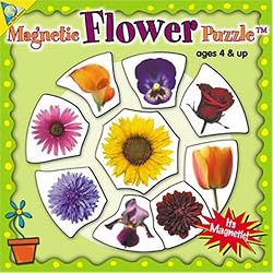 Mini Magnetic Flower Puzzle