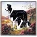 Border Collie Lap Square - 53 x 53 Blanket/Throw