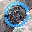 Jubailing Lokai Bracelet Blue Limited Edition (Small)