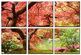 Autumns Leaves LARGE Photo Canvas Print READY TO HANG!! 59 x 39 x 1/2 (6 pieces without spaces)