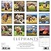 Elephants 2017 Wall Calendar
